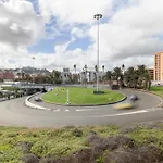 Travieso Palmas